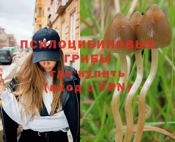 тгк Лихославль